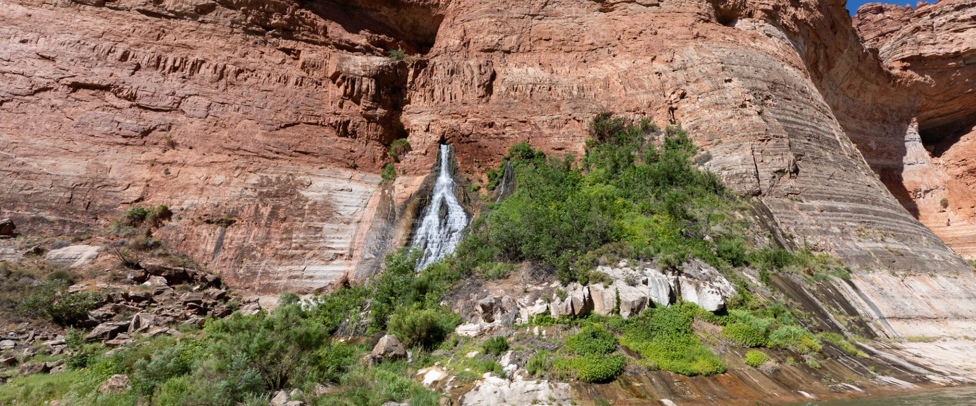 Vasey's Paradise is a lush spring coming out of the cliff about halfway between rim and river in Grand Canyon