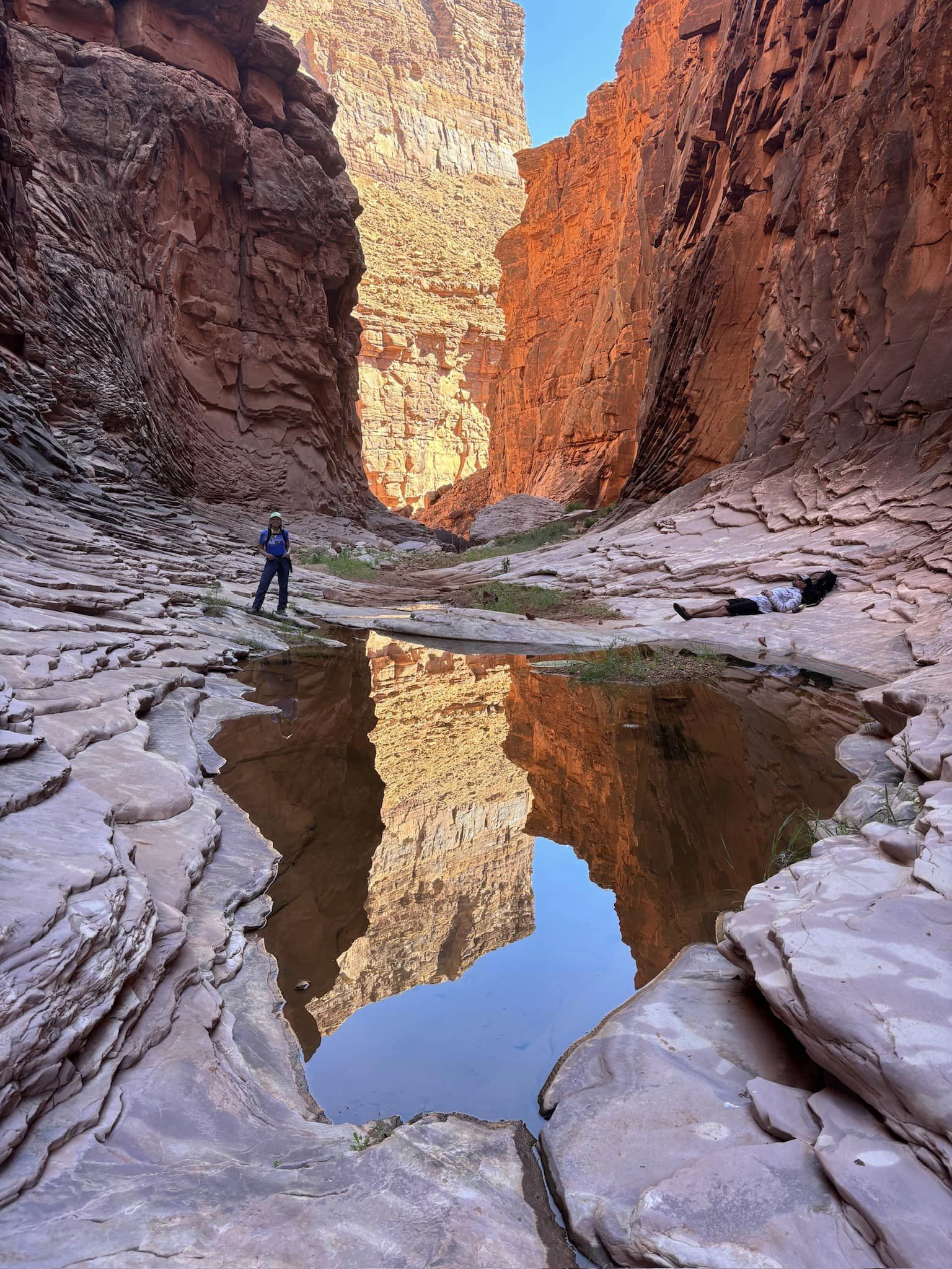 Person standing beside a pool of water in a shady side canyon in Grand Canyon. Photo credit: Caroline Marion.