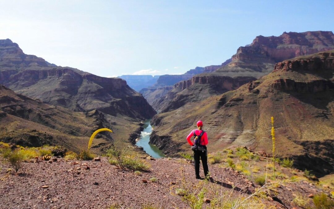 6 Tips for Hiking on Your Grand Canyon Expedition