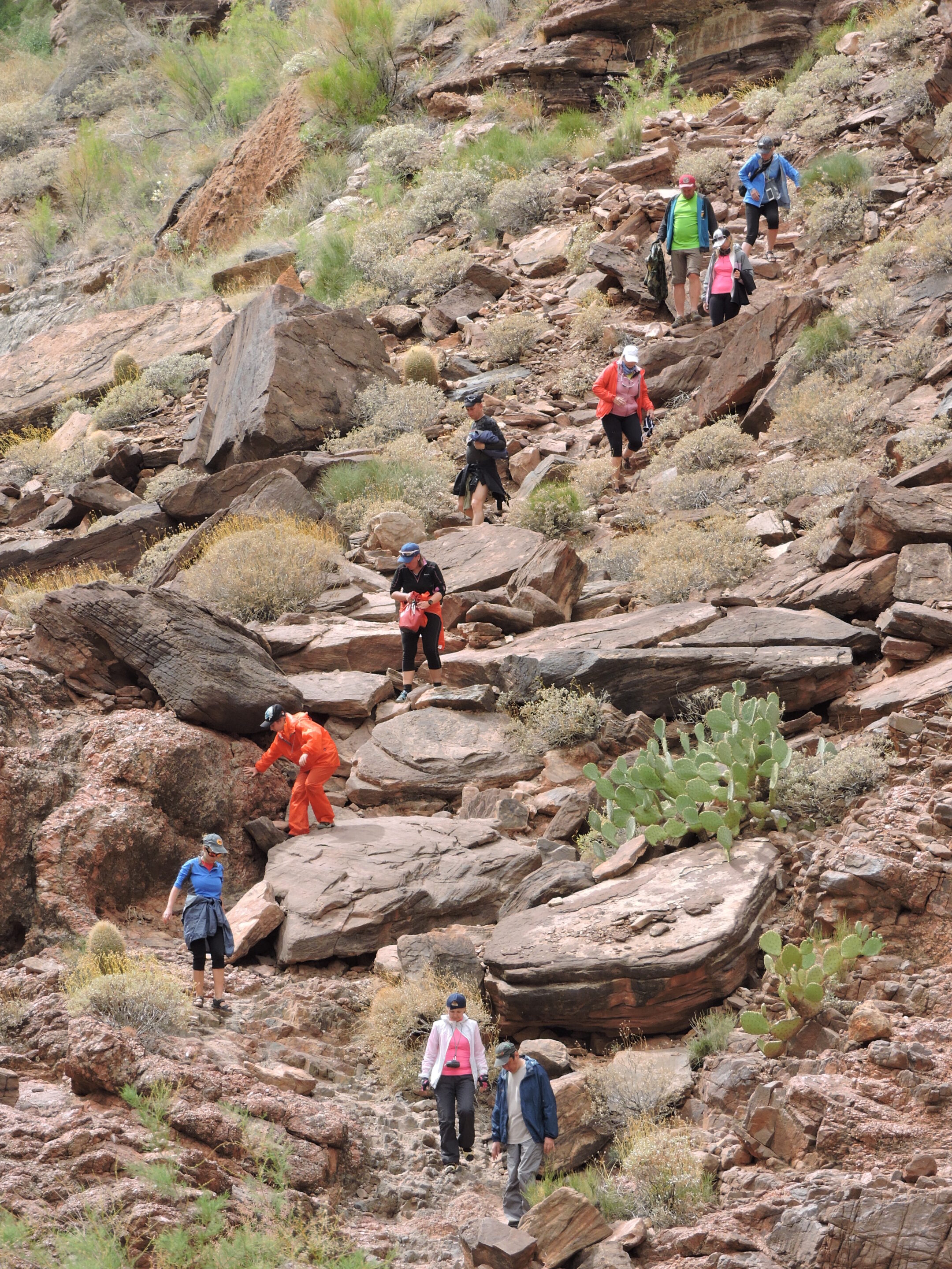 People hiking a steep trail in the Grand Canyon. Photo credit: Jim Beregi.