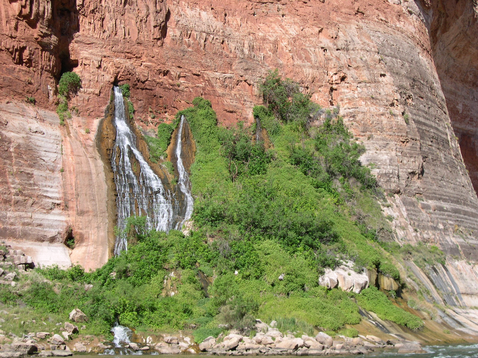 A spring called Vasey's Paradise pours water out of a limestone cliff in Grand Canyon. Photo credit: Michelle Mace.