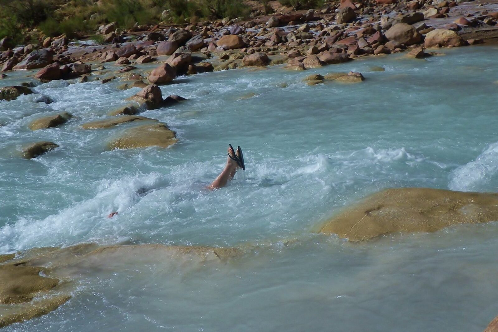 A pair of feet with sandal sticking up out of the water in the Little Colorado River. Photo credit: Deb Habel.