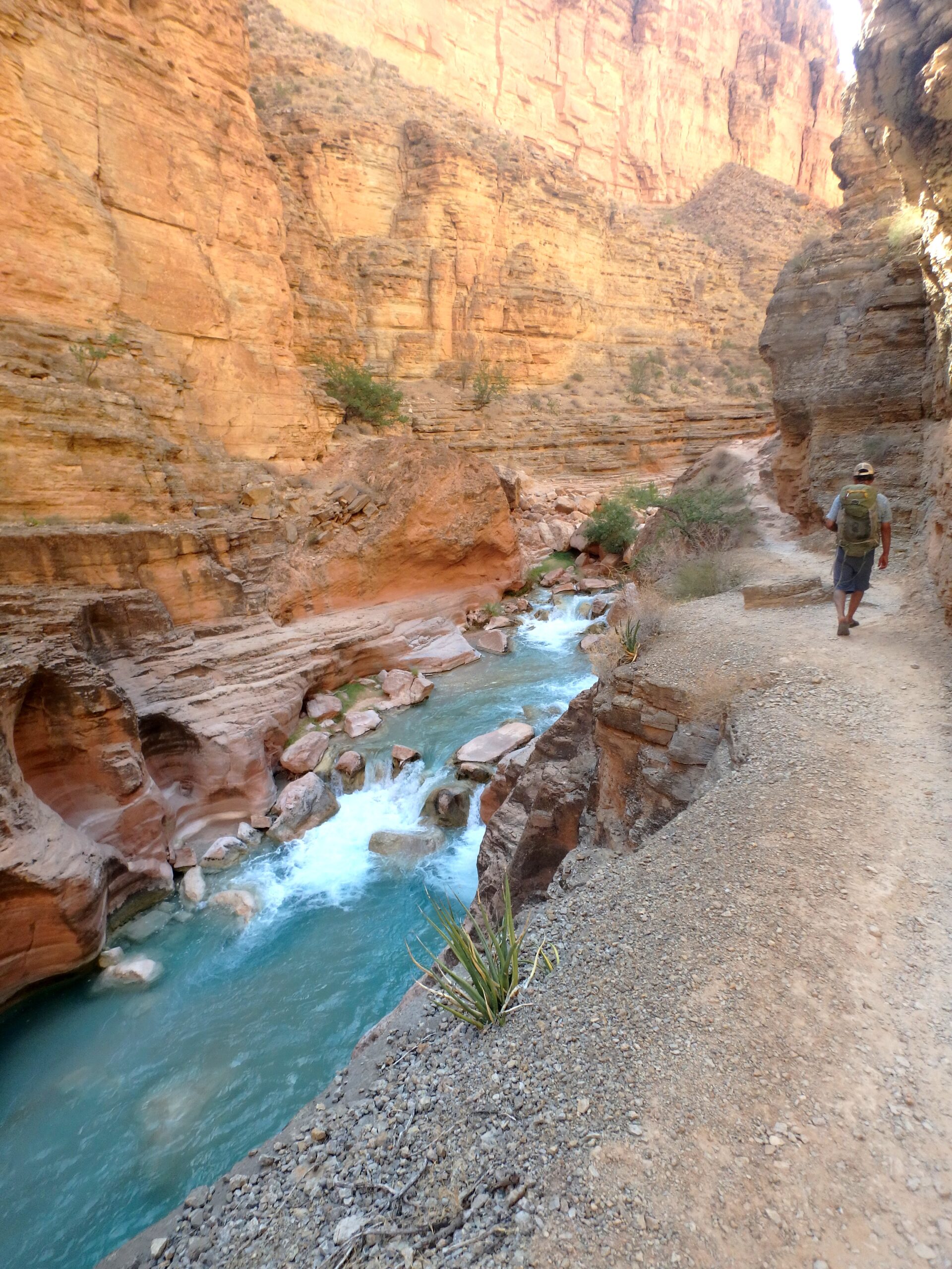 Havasu Creek in Grand Canyon near the Colorado River. Photo credit: Melissa Yates.