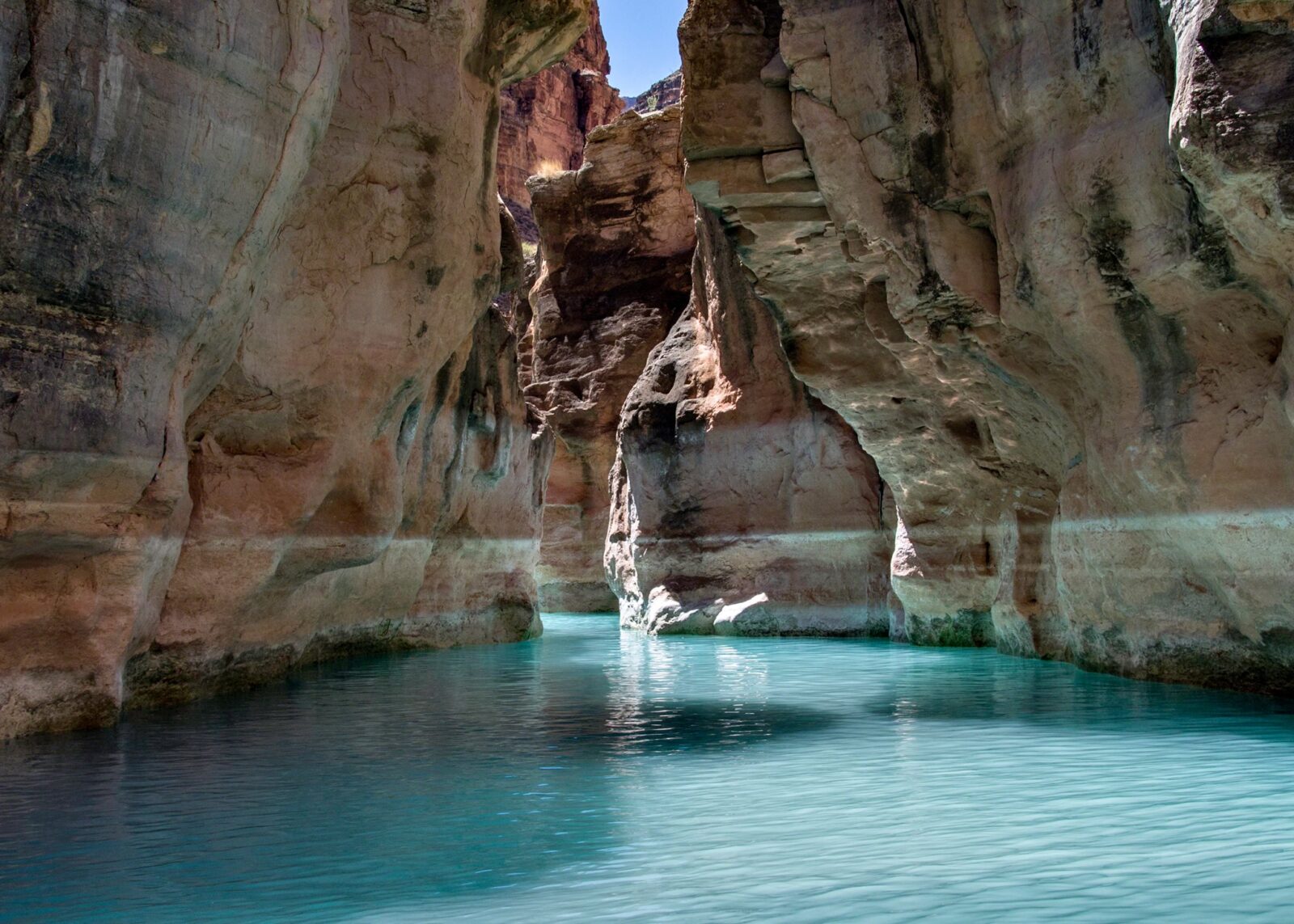 Bright blue water in the bottom of Havasu Canyon near where it meets the Colorado River. Photo credit: Al Toepfer.