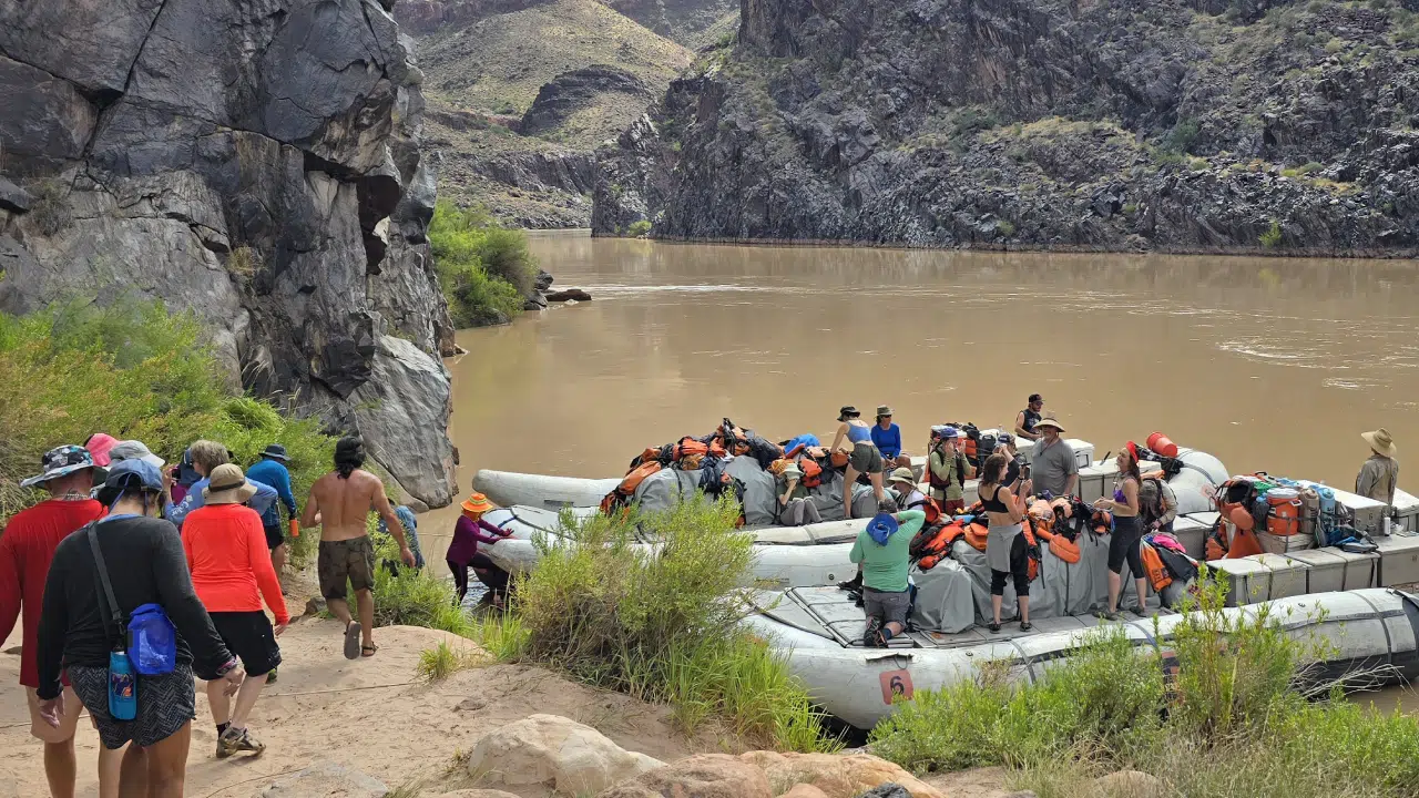 Hatch River Expeditions motor boats full of people at beach of colorado river