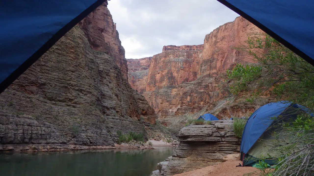 Person looking out of a tent on a Hatch River Expeditions Trip