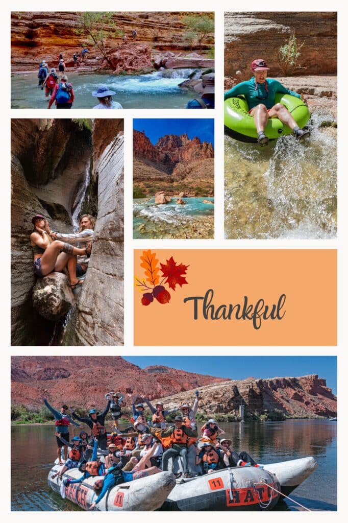 Collage of photos of people enjoying a Grand Canyon rafting trip. Thanksgiving at Hatch 2024.