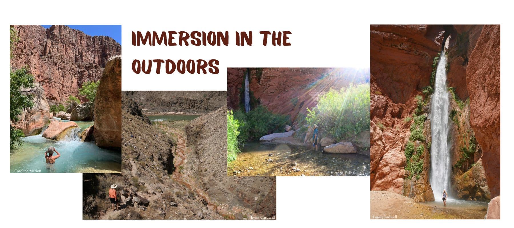 Book now 2026. Collage of photos of solo individuals in different settings in Grand Canyon that reads "immersion in the outdoors."