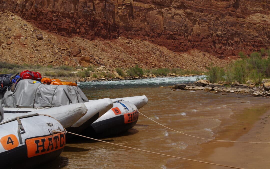 Why You Should Get Travel Insurance for Your Grand Canyon River Rafting Trip