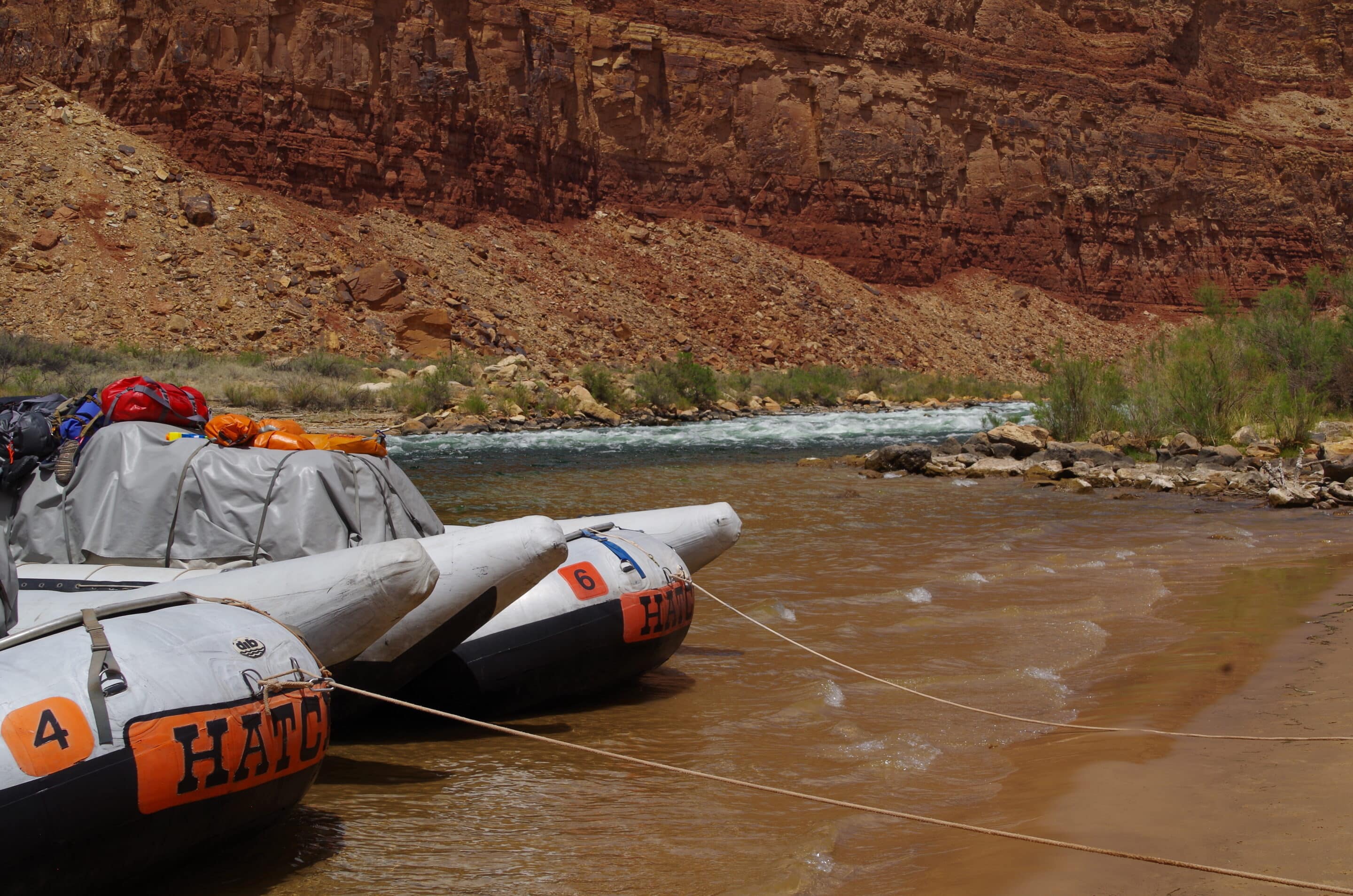 Hatch rafts parked at a beach in Grand Canyon. Photo credit: John Dillon.