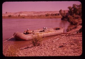 The brontosuar on the Hatch-Eggert expedition