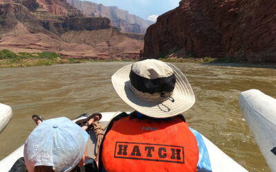 5 Common Guest Questions about Hatch Trips