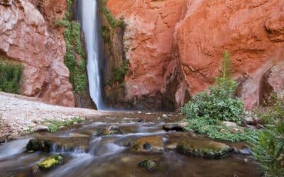 Grand Canyon Gems: Deer Creek