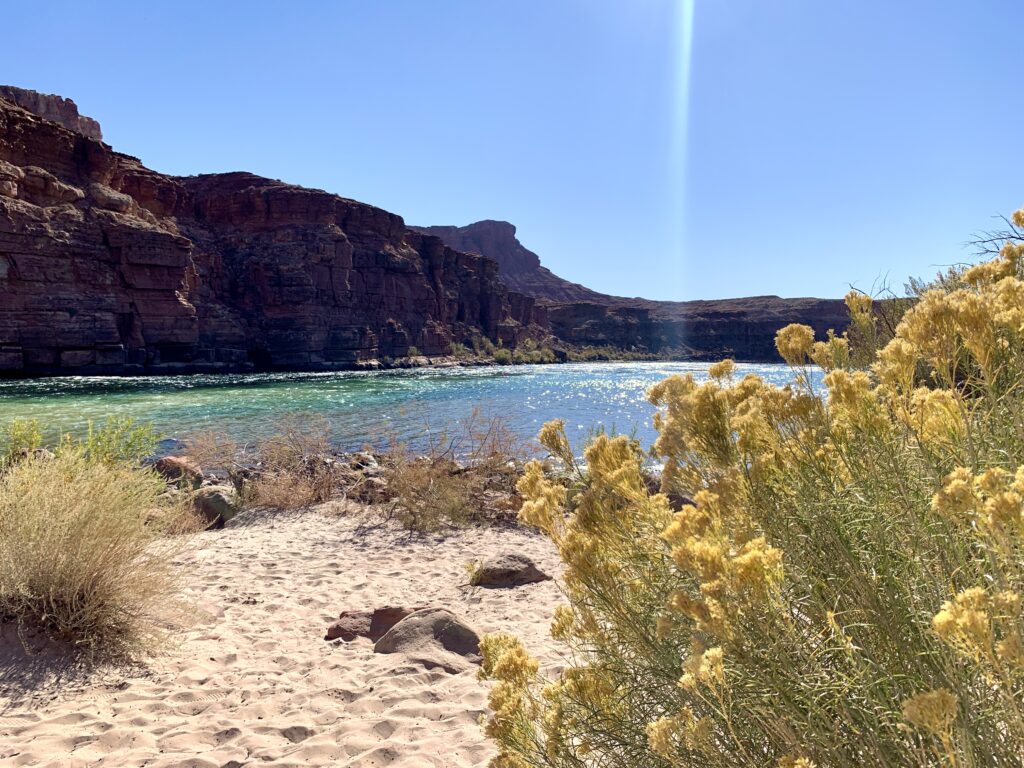 Clear sky above clear water