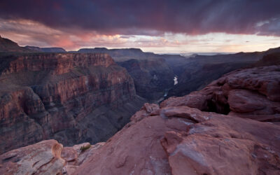 9 Completely Random (But Fascinating) Grand Canyon Facts