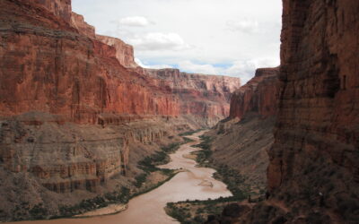 Muddy Mystery: Why the Colorado River Changes Color
