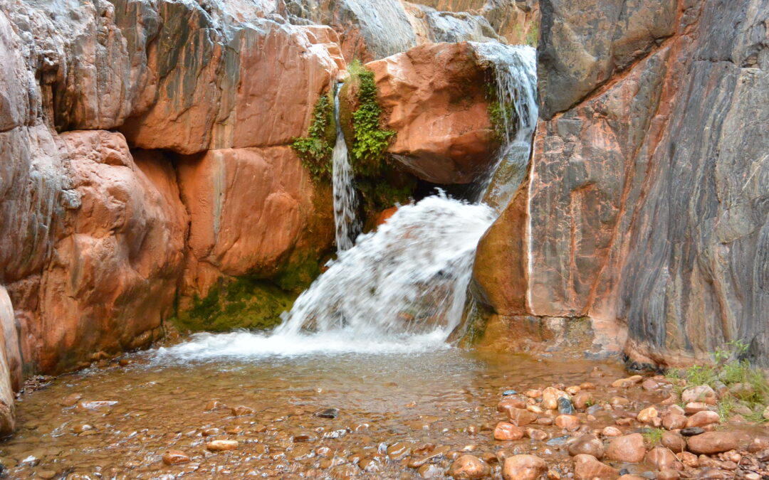 Grand Canyon Gems: Clear Creek 
