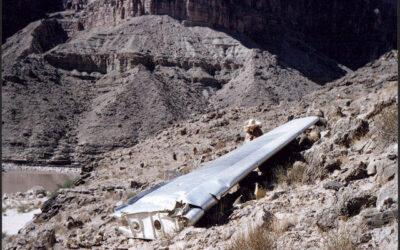 How a Historic Tragedy in Grand Canyon Changed American Aviation