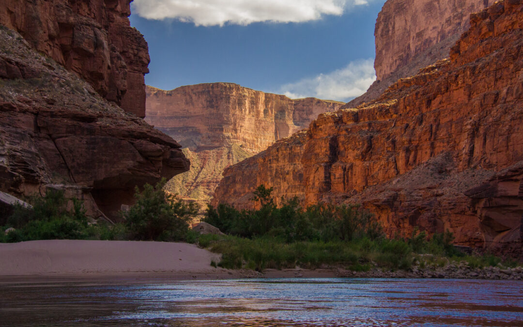 Grand Canyon Q&A: A Conversation with 7th Graders