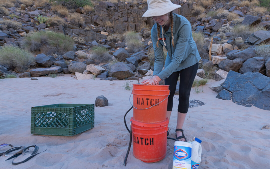 Health and Hygiene on Your Rafting Trip with Hatch