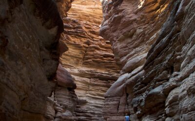 Grand Canyon Gems: Blacktail Canyon