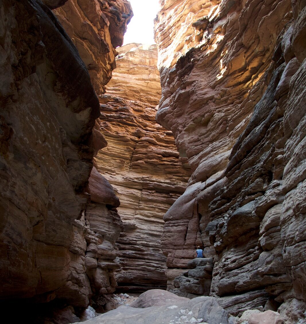 Guest at Blacktail Canyon