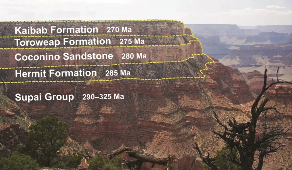 Rock layers labeled showing Kaibab Formation Credit- NPS