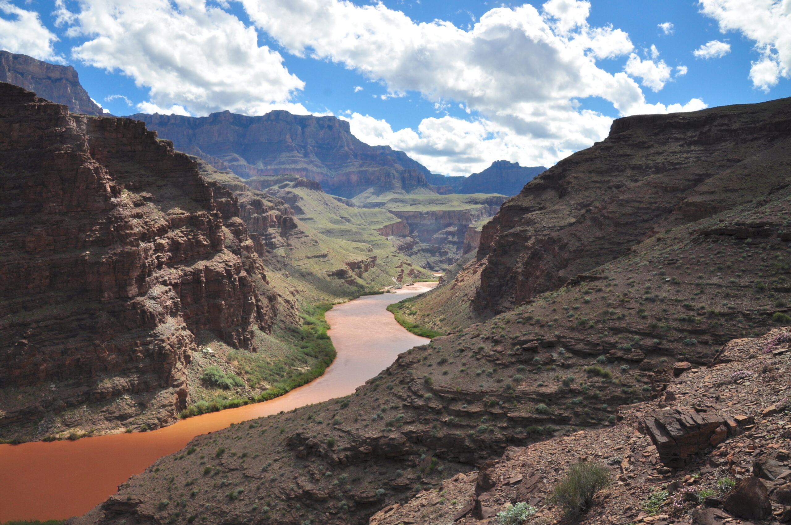 muddy Colorado river in September
