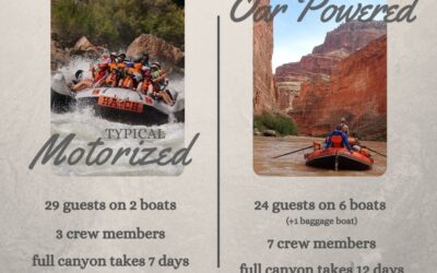 Should I Choose a Motorized or Oar Powered Grand Canyon River Trip?