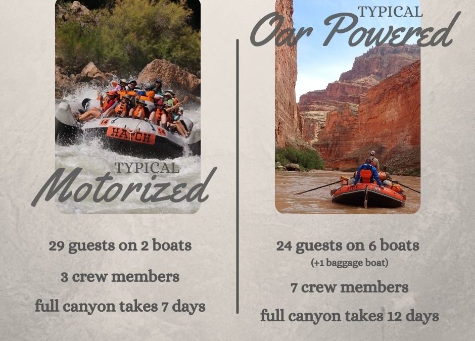 Should I Choose a Motorized or Oar Powered Grand Canyon River Trip?