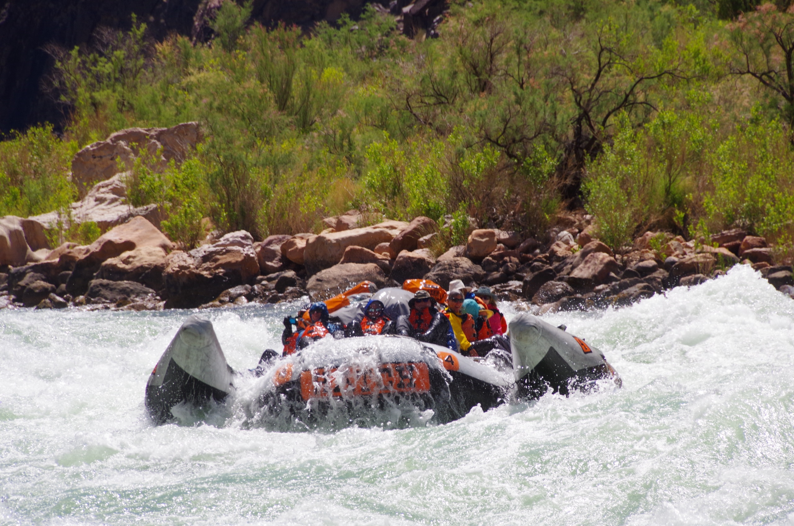 A Hatch motorized raft full of guests plowing through whitewater on the Colorado River