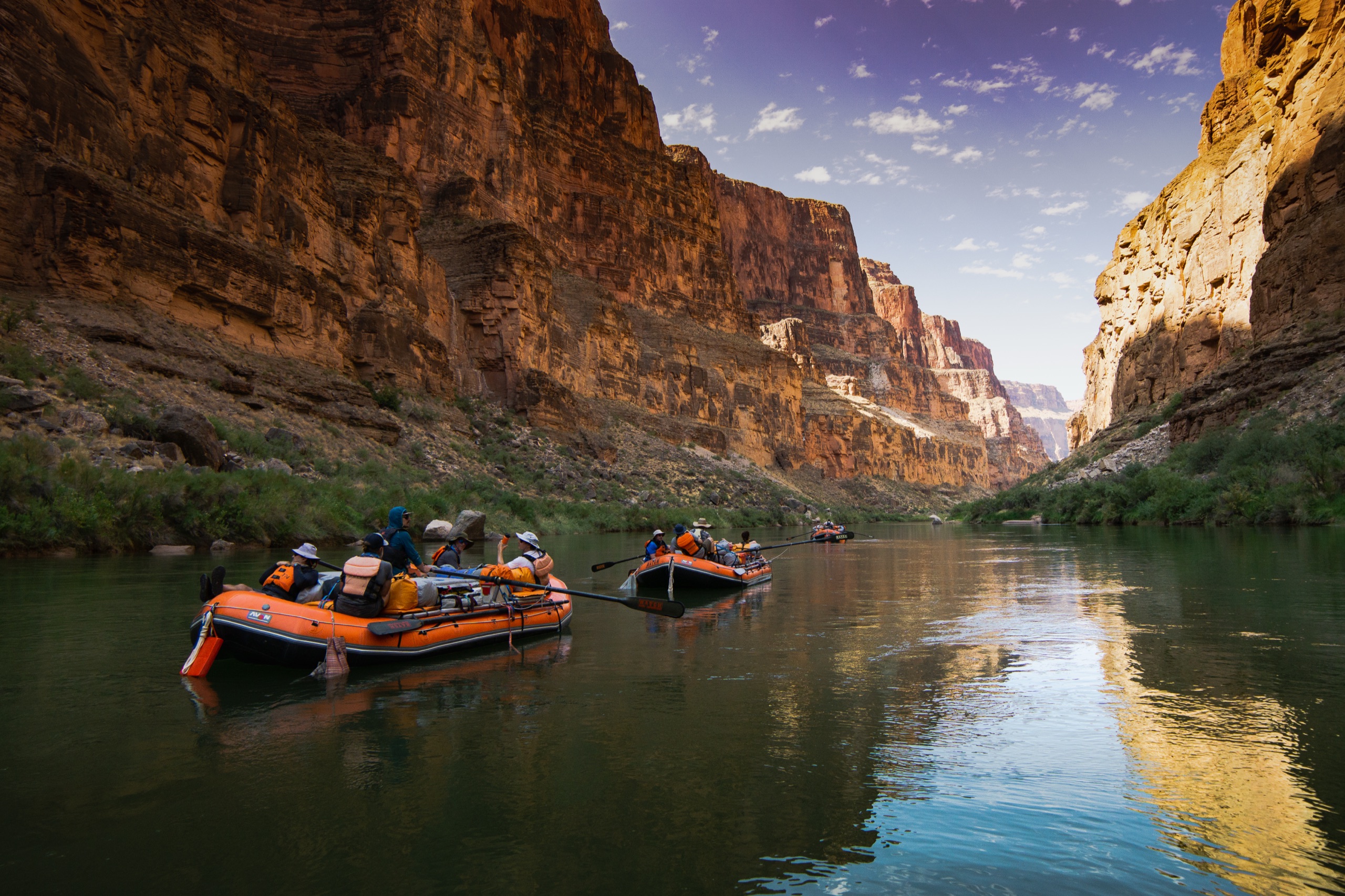 A line of Hatch oar rafts floating a calm stretch of the Colorado River beneath towering canyon walls